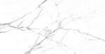 Carrara Terrific Silver Керамогранит белый 60х60 Матовый_5