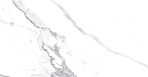 Calacatta Splendid Silver Керамогранит белый 60х60 Матовый_4